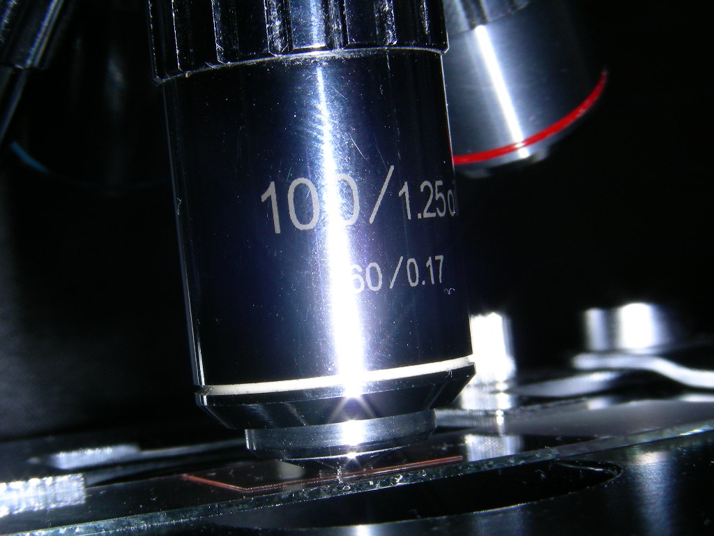 Obiettivi  X100 oil ...